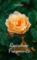 Raindrop Fragments