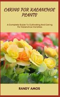 Caring for Kalanchoe Plants
