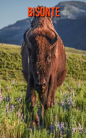 Bisonte: Immagini bellissime e fatti interessanti Libro per bambini sui Bisonte