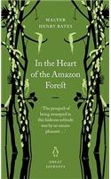 In the Heart of the Amazon Forest