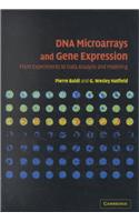 DNA Microarrays and Gene Expression