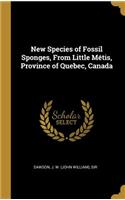 New Species of Fossil Sponges, From Little Métis, Province of Quebec, Canada