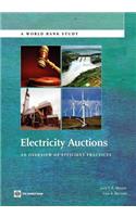Electricity Auctions: An Overview of Efficient Practices