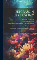 Eelgrass in Buzzards Bay: Distributation, Production, and Historical Changes in Abundance
