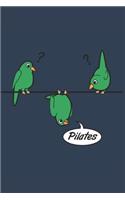 I love my Budgies