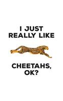 I Just Really Like Cheetahs
