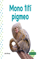 Mono Titi Pigmeo (Pygmy Marmoset)