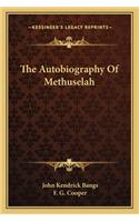 Autobiography of Methuselah