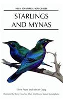 Starlings and Mynas