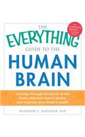 Everything Guide to the Human Brain
