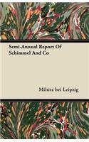 Semi-Annual Report Of Schimmel And Co