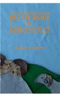 Uncomfortable Bit of Rope and Other Essays on the Binding of Isaac