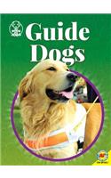 Guide Dogs