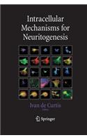 Intracellular Mechanisms for Neuritogenesis