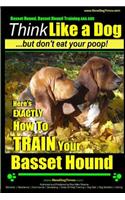 Basset Hound, Basset Hound Training AAA AKC