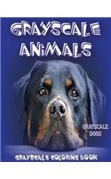 Grayscale Animals Dogs