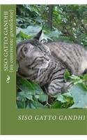 Siso gatto Gandhi: Un convivente gronfolone