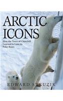 Arctic Icons