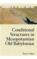 Conditional Structures in Mesopotamian Old Babylonian: (Languages of the Ancient Near East)