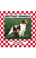 Brittany Spaniels