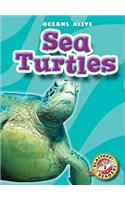 Sea Turtles