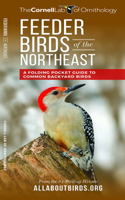 Feeder Birds of the Northeast