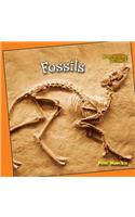 Fossils