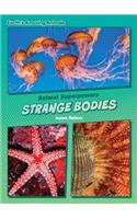 Strange Bodies