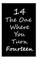 14th The one where you turn Fourteen