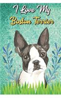 I Love My Boston Terrier