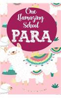 One llamazing School Para