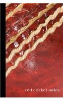 red cricket notes: small lined Cricket Notebook / Travel Journal to write in (6'' x 9'') 120 pages