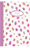 2020 Journal Diary