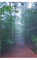 2020 Weekly Planner Foggy Morning Woodland Path 134 Pages: 2020 Planners Calendars Organizers Datebooks Appointment Books Agendas