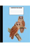 Owl Composition Book: Owl Composition Notebook. 132 Pages Wide Ruled 7.5x9.25. Owl Notebook