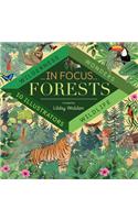 In Focus: Forests