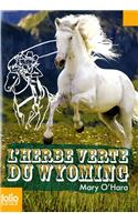 Herbe Verte Du Wyoming