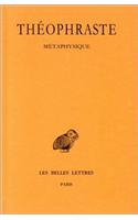 Theophraste, Metaphysique