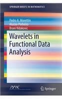 Wavelets in Functional Data Analysis