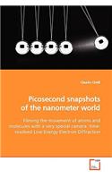 Picosecond snapshots of the nanometer world