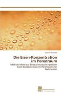 Eisen-Konzentration im Porenraum