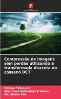 Compressão de imagens sem perdas utilizando a transformada discreta do cosseno DCT