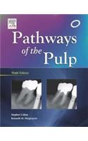 Pathways Of The Pulp 9/e
