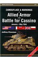Camouflage & Markings of Allied Armor in the Battle for Cassino