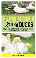 Guide to Raising Ducks: Learn The Appropriate Way To Raise Ducks Using Simple And Cool Tips