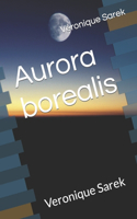 Aurora borealis: Veronique Sarek