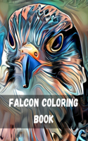 Falcons Coloring Book