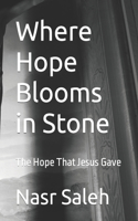Where Hope Blooms in Stone