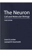 The Neuron Cell And Molecular Biology