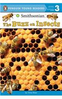 The Buzz on Insects
